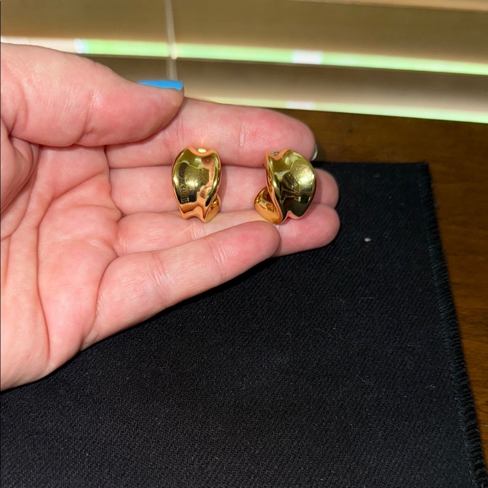 Jenny Bird Chunky Doune earrings